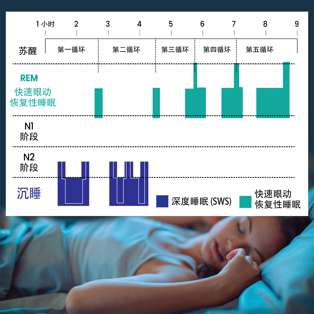 恢复性睡眠 何时以及如何获得它 Rilax 